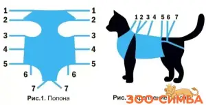 Послеоперац.попона д/кошек